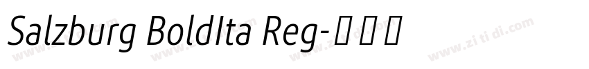 Salzburg BoldIta Reg字体转换
